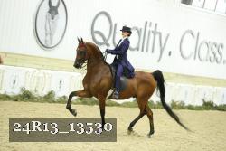 24R13_13530 thumbnail