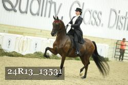 24R13_13531 thumbnail