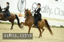 24R13_13532 thumbnail