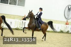 24R13_13536 thumbnail