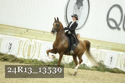 24R13_13539 thumbnail