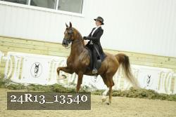 24R13_13540 thumbnail