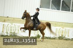 24R13_13541 thumbnail