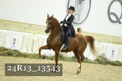 24R13_13543 thumbnail