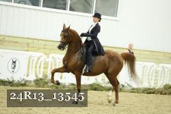24R13_13545 thumbnail