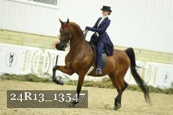 24R13_13547 thumbnail