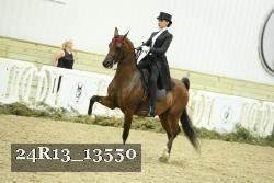 24R13_13550 thumbnail