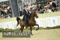 24R13_13557 thumbnail