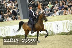 24R13_13558 thumbnail