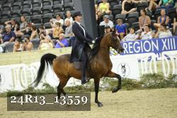 24R13_13559 thumbnail