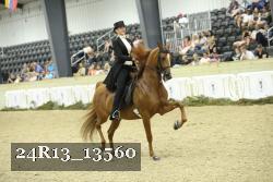 24R13_13560 thumbnail