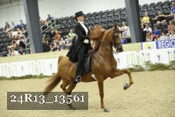 24R13_13561 thumbnail