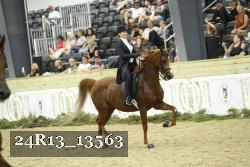 24R13_13563 thumbnail