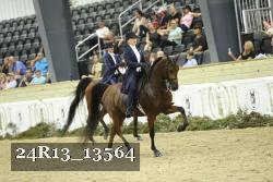 24R13_13564 thumbnail