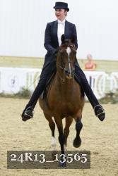 24R13_13565 thumbnail