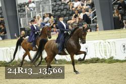 24R13_13566 thumbnail