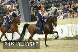 24R13_13567 thumbnail