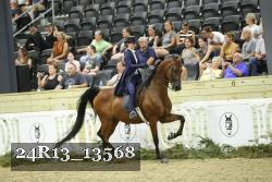 24R13_13568 thumbnail