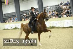 24R13_13569 thumbnail