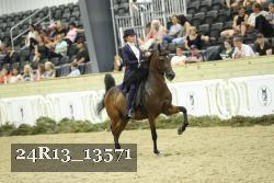 24R13_13571 thumbnail