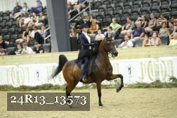 24R13_13573 thumbnail