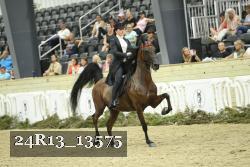 24R13_13575 thumbnail