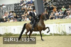 24R13_13576 thumbnail
