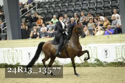 24R13_13577 thumbnail