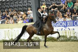 24R13_13578 thumbnail
