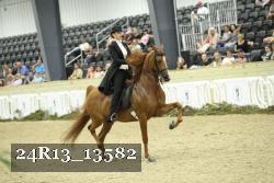 24R13_13582 thumbnail
