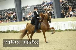 24R13_13583 thumbnail