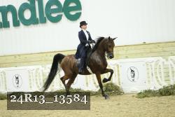 24R13_13584 thumbnail