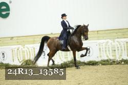 24R13_13585 thumbnail