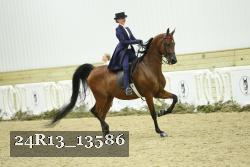 24R13_13586 thumbnail