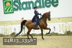 24R13_13587 thumbnail