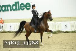24R13_13588 thumbnail