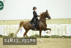 24R13_13589 thumbnail