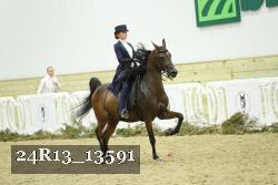 24R13_13591 thumbnail