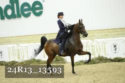 24R13_13593 thumbnail