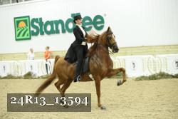 24R13_13594 thumbnail