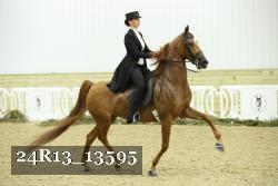 24R13_13595 thumbnail