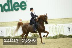 24R13_13596 thumbnail