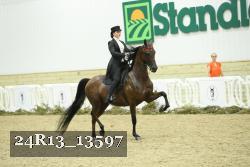 24R13_13597 thumbnail