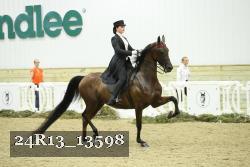 24R13_13598 thumbnail