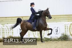 24R13_13607 thumbnail