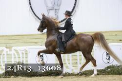 24R13_13608 thumbnail