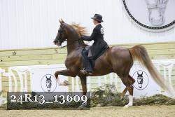 24R13_13609 thumbnail