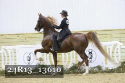 24R13_13610 thumbnail