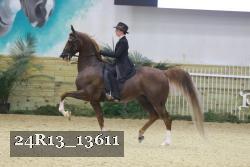 24R13_13611 thumbnail