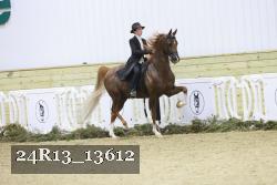 24R13_13612 thumbnail